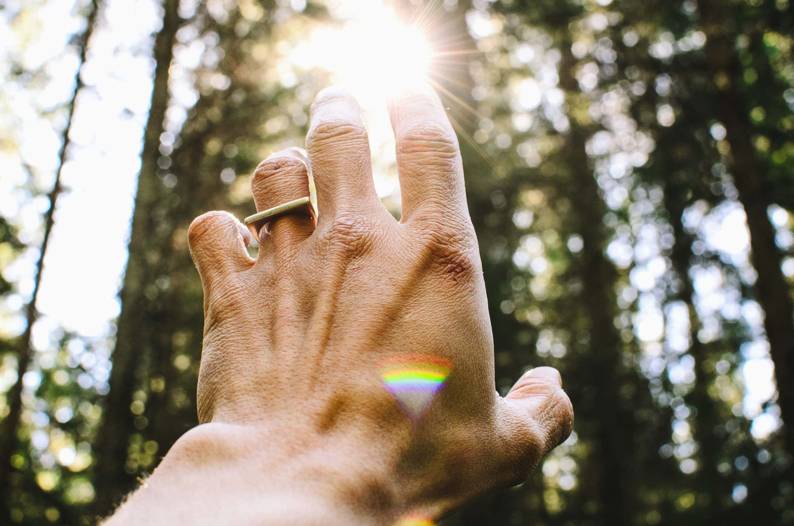 Hand zeigt in Richtung Himmel, hinein in die Sonnenstrahlen, die durch Bäume hindurchbrechen. Der Weg ins reine Bewusstsein.