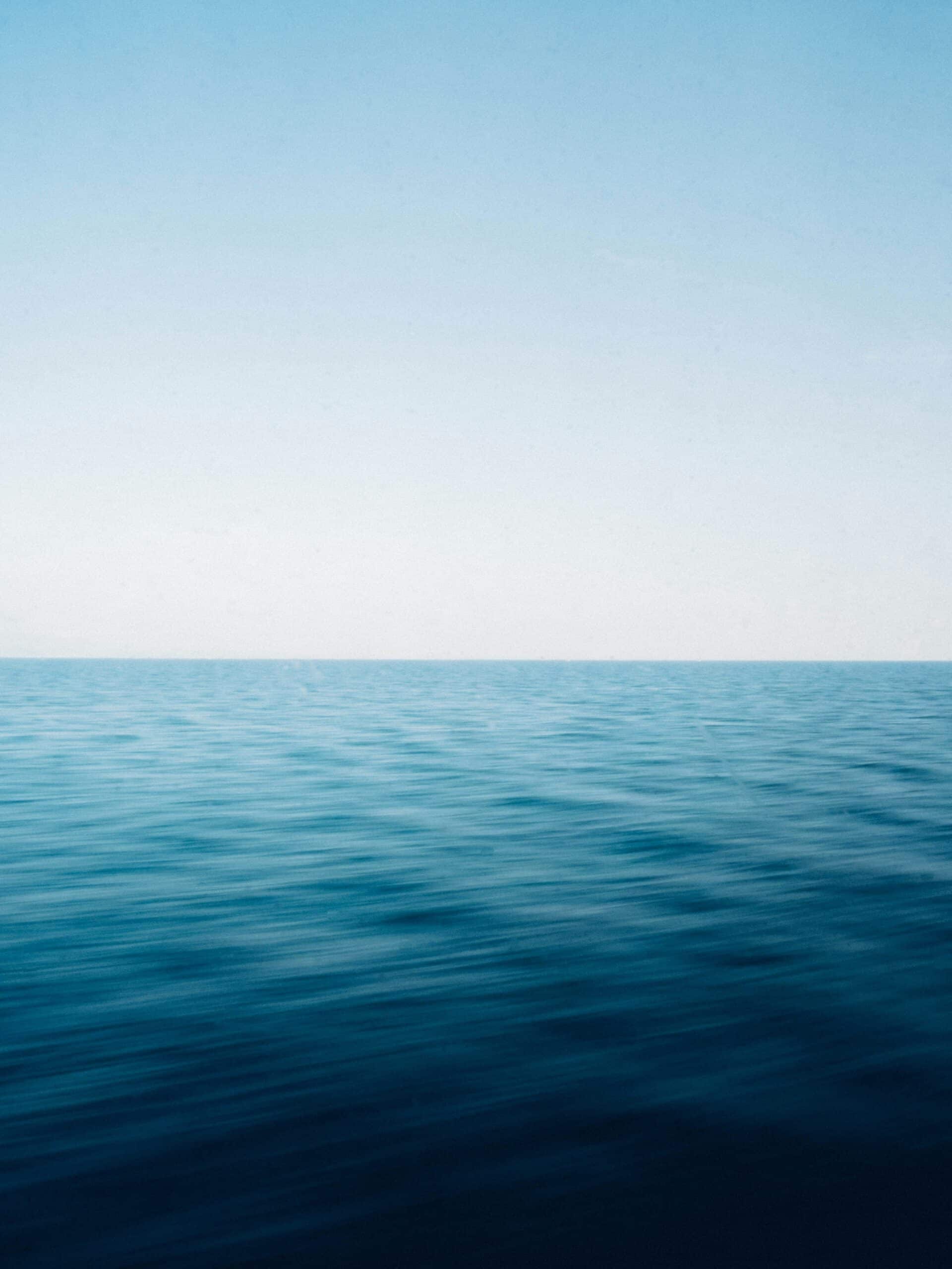 Wahrheit macht einsam – und frei. Foto von Cristian Palmer auf Unsplash